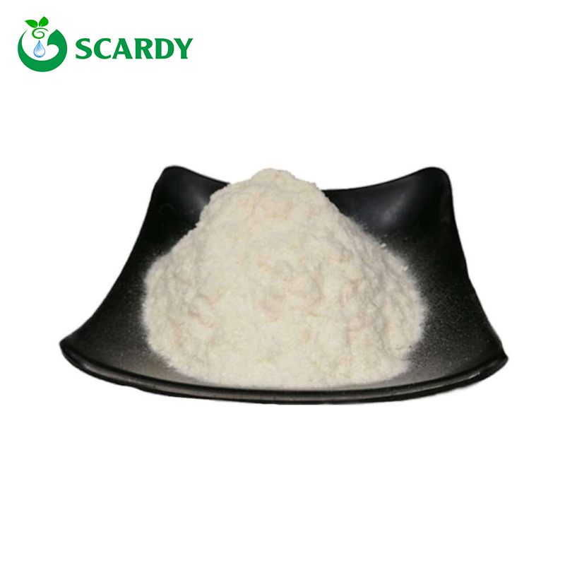 Kojic Acid Powder