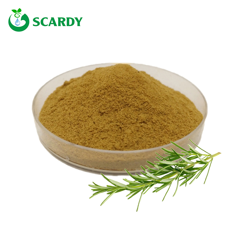 Rosmarinic Acid Powder