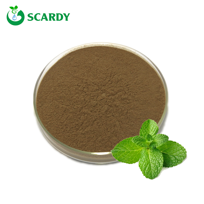 Peppermint Extract Powder