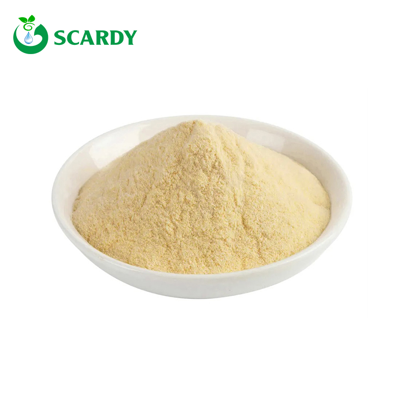 Vitamin A palmitate Powder