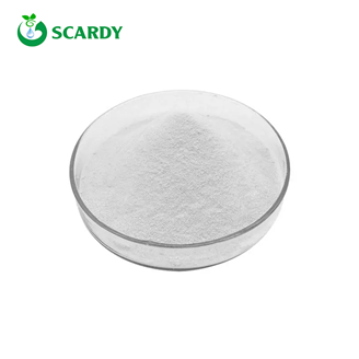 Nicotinamide Adenine Dinucleotide NAD Powder