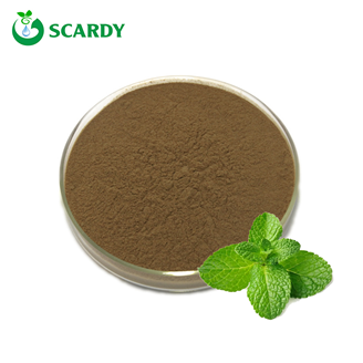 Peppermint Extract Powder