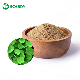 Centella Asiatica Extract Powder