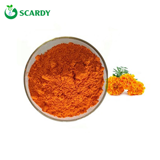 Lutein Powder