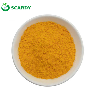 Coenzyme Q10 Powder